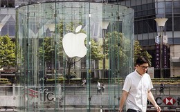 Apple lại viết đơn "kêu cứu" mong Chính phủ Mỹ đừng đánh thuế iPhone
