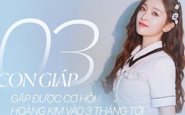 Trong 3 tháng tới, 3 con giáp này sẽ gặp được cơ hội ngàn năm có một, cuối Kỷ Hợi 2019 sớm muộn gì cũng phát tài giàu có