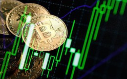 Giá Bitcoin tăng tốc mạnh, hướng mốc 13.000 USD