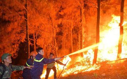 Tạm giữ một đối tượng nghi gây cháy rừng ở Nghi Xuân