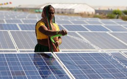 Ấn Độ: Điện mặt trời đối diện khó khăn vì bị từ chối thu mua