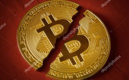Chỉ một nhầm lẫn nhỏ, nhà khai thác tiền mã hóa Bitmain mất luôn số Bitcoin giá 150.000 USD