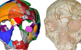 Phát hiện hóa thạch của nhóm người tiền sử đầu tiên rời khỏi Châu Phi