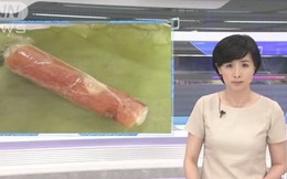Nữ sinh Việt bị bắt vì mang nem chua chứa virus tả lợn vào Nhật Bản