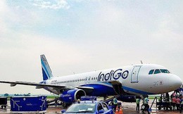 Hãng hàng không giá rẻ lớn nhất Ấn Độ mở đường bay tới VN