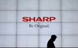 Sharp lên kế hoạch xây nhà máy ở Việt Nam