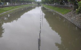 Chuyên gia Nhật nói về thí nghiệm làm sạch sông Tô Lịch sau cơn bão số 3