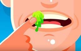 [Vietsub] Đây là lý do bạn không nên ngoáy mũi và ăn gỉ mũi