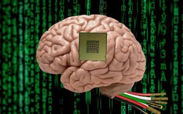 Cấy chip AI vào não có thể khiến bạn mất trí