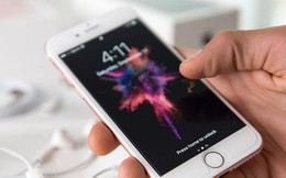 Bị tố iPhone 7 phát ra bức xạ vô tuyến cao gấp đôi mức cho phép, Apple tuyên bố bài kiểm tra không chính xác