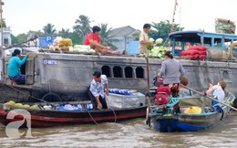 Về Cần Thơ dập dềnh ăn bún, uống cà phê "di động" trên chợ nổi Cái Răng còn được khuyến mãi câu hò ngọt lịm của miền sông nước