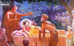Mất vàng tìm đến nhờ giúp, phú ông được Đức Phật bảo đi tìm 1 người và đạo lý quý hơn vàng