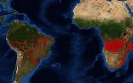 Châu Phi đang bị thiêu đốt, số vụ cháy rừng nhiều gấp 5 lần ở Amazon