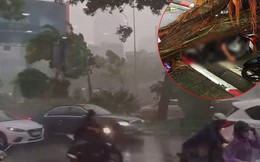 Cây xanh đổ khắp Hà Nội do ảnh hưởng của bão số 4, một thanh niên 26 tuổi tử vong thương tâm