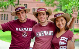 Lương của sinh viên Harvard mới ra trường đã lên đến 1.6 tỷ đồng nhưng chưa là gì so với các trường khác trong khối Ivy League
