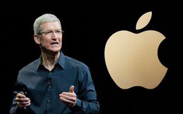 Giám đốc điều hành của Apple, Tim Cook luôn có thói quen thức dậy mỗi ngày vào lúc 3:45 sáng: Tôi đã thử làm điều đó trong một tuần và đạt được hiệu quả đáng kinh ngạc