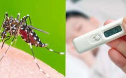 Những điều bí ẩn về sốt xuất huyết: Vì sao 20% dân số "hấp dẫn" muỗi hơn số còn lại?