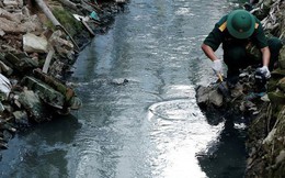 12/13 mẫu bùn sông Tô Lịch cách cống xả Rạng Đông 1km có giá trị thuỷ ngân vượt 6,1 lần ngưỡng cho phép