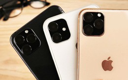 iPhone 11 có giá dự kiến tới 44 triệu đồng tại Việt Nam