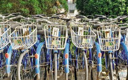 Ngoài xe buýt, đường sắt đô thị, Hà Nội sắp có cả xe đạp công cộng