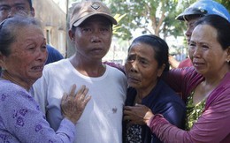 Ly kỳ chuyện cá heo "chỉ đường" cứu 41 ngư dân Quảng Nam thoát chết