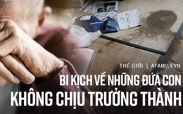 Những "đứa trẻ" mãi không trưởng thành ở Nhật Bản: Cái giá phải trả của những cha mẹ bao bọc con cả đời, đến chết cũng không thể nhắm mắt xuôi tay