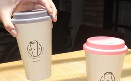 Startup cho mượn ly bằng bã mía: Mỗi phút có 12.000 ly nhựa thải ra môi trường, một hành động nhỏ hàng ngày cũng tạo ra sự thay đổi mạnh mẽ