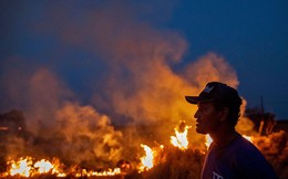 Rừng Amazon vẫn đang cháy với tốc độ tương đương 110 sân bóng mỗi giờ