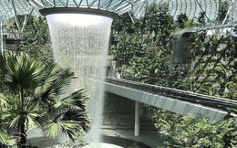 Đây là cách công nghệ giải quyết cơn "khát nước" của Singapore