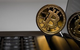 Bitcoin rơi khỏi ngưỡng 8.000 USD