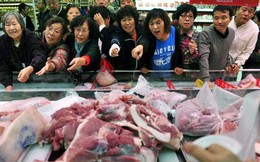 Lợn đột biến khổng lồ 700kg, giải cứu khủng hoảng Trung Quốc