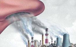 Hơn 4 triệu người chết vì ô nhiễm không khí mỗi năm: Mối đe dọa không của riêng ai