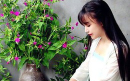 Từ làm vlog đến mở thương hiệu riêng, 4 vlogger Trung Quốc này giờ đều trở thành triệu phú