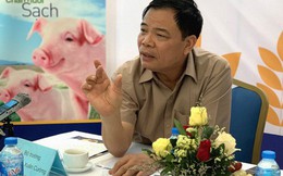 Không được xuất khẩu lợn sang Trung Quốc