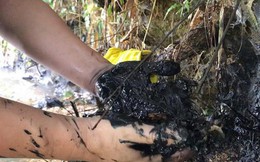 Vụ dầu thải gây ô nhiễm nước sông Đà: Chủ tịch Công ty gốm sứ Thanh Hà thừa nhận có "con gái tên Trang"