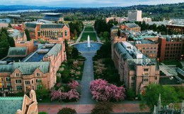 Xếp hạng 10 đại học tốt nhất thế giới, Harvard vẫn số 1