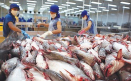 Bộ trưởng Nguyễn Xuân Cường thông báo tin vui: Việt Nam được công nhận kiểm soát an toàn thực phẩm với cá tra tương đương Hoa Kỳ