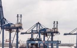 Thủ tướng yêu cầu nghiên cứu thông tin từ Bloomberg về "Việt Nam thiếu 4 tỷ USD đầu tư cảng biển"