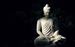 Đức Phật chỉ ra 4 kiểu người cơ bản trong đời: Kiểu đầu đáng quý, kiểu cuối đáng thương, bạn thuộc kiểu nào?