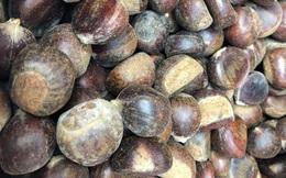 Hạt dẻ TQ 50-60.000 đồng/kg gắn mác hạt dẻ Trùng Khánh, Sapa thổi giá cao gấp 3