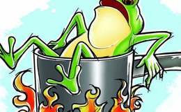 Câu chuyện 'luộc ếch' và bài học nhớ đời về sự ổn định: Đừng quên rằng, cái gì cũng có giá của nó!