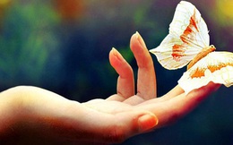 Trang bị 4 tố chất này, dân công sở nhất định sẽ được quý nhân tìm đến và hết mình phò trợ