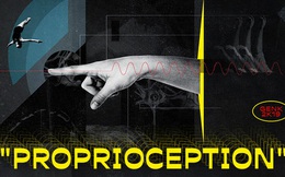 Giải mã những bí ẩn về "proprioception", giác quan thứ sáu của tất cả chúng ta