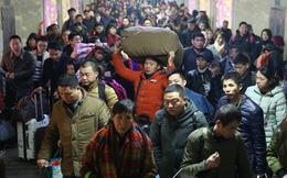 Tại sao hàng triệu bạn trẻ Trung Quốc không muốn về quê ăn Tết?
