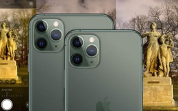 Sự thật chán chường về chế độ chụp đêm của iPhone 11 Pro