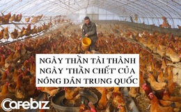 Nông dân Trung Quốc ‘dính đòn’ từ virus corona, mới ngày Thần Tài đã đứng trước nguy cơ trắng tay