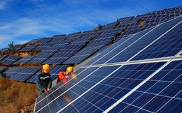 World Bank kỳ vọng Việt Nam mở ra một chương mới về phát triển điện mặt trời, tạo 25.000 việc làm mới/năm, liên tiếp trong suốt 10 năm