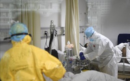 Cảnh báo nguy cơ truyền nhiễm virus Corona qua đường tiêu hóa