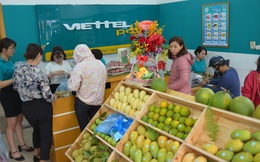 Viettel Post mở cửa hàng bán trái cây ngay tại bưu cục chuyển phát, cam kết giao hàng chỉ trong 2h