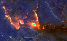 Đại thảm họa cháy rừng Úc nhìn từ không gian: Cả nước như quả cầu lửa, những mảng xanh trù phú bị thay bằng màu khói trắng tang thương